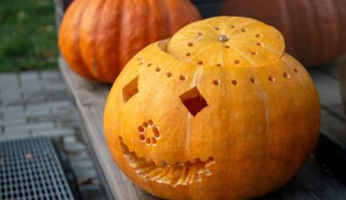 Bulwersujący incydent podczas Halloween. Dzieci obrzuciły dom kamieniami - Onet