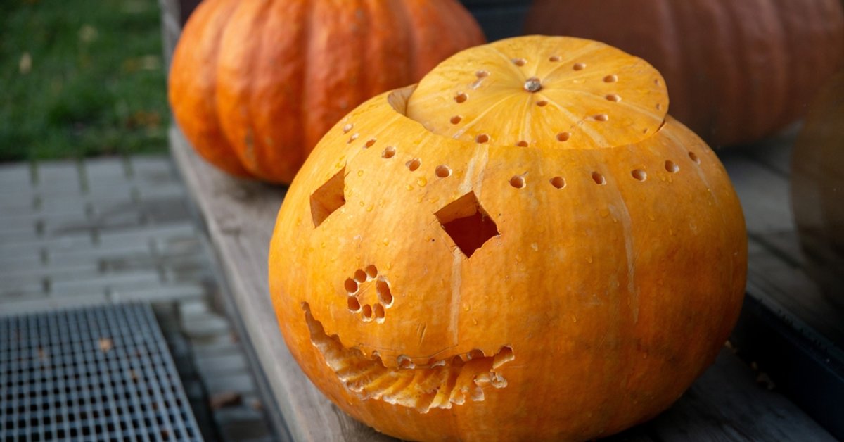 Bulwersujący incydent podczas Halloween. Dzieci obrzuciły dom kamieniami - Onet