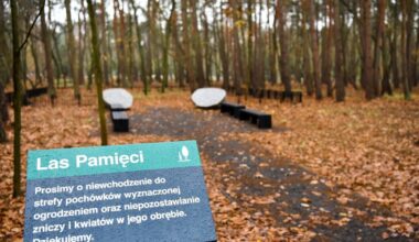 490 zł za wieczny spokój wśród natury. Polacy odkrywają "zielone" cmentarze