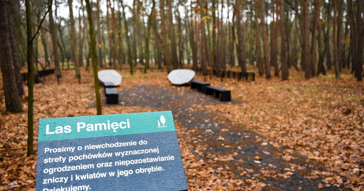 490 zł za wieczny spokój wśród natury. Polacy odkrywają "zielone" cmentarze