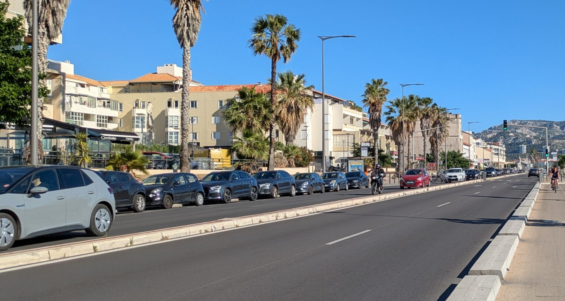 Mieszkańcy Marsylii walczą ze szczurami, które masowo niszczą samochody