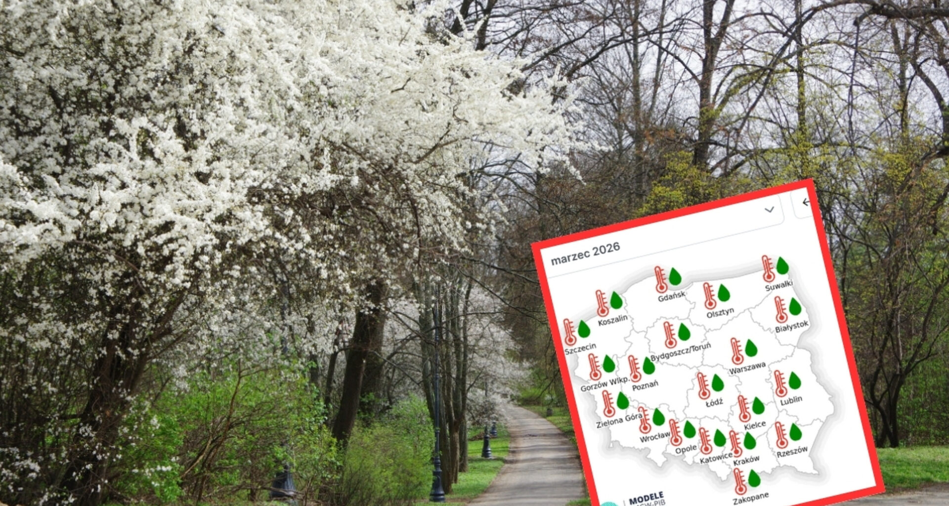 IMGW podał prognozę do marca 2026. Początek wiosny będzie dużym zaskoczeniem