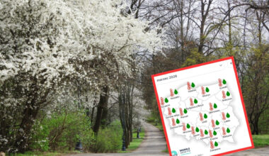 IMGW podał prognozę do marca 2026. Początek wiosny będzie dużym zaskoczeniem