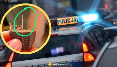 Cukierki z igłami na Halloween w Łodzi. Wiadomo, kto dał je dzieciom