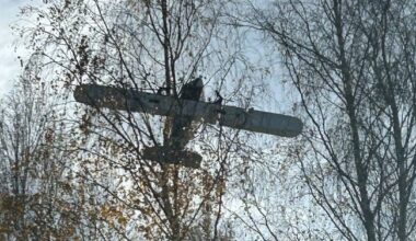 Zawieszony na drzewie dron, który przekroczył granicę pomiędzy Polską i Białorusią