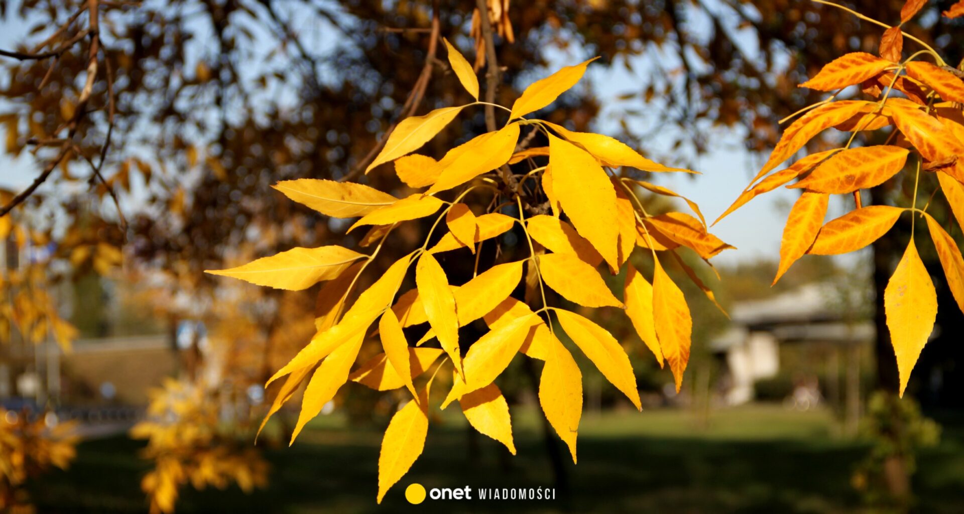 Pogoda zaskoczy Polaków. Mamy prognozę na najbliższe dni - Onet Wiadomości
