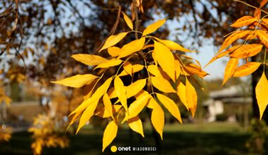 Pogoda zaskoczy Polaków. Mamy prognozę na najbliższe dni - Onet Wiadomości
