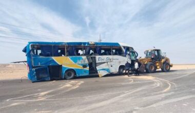 Rolnicy z Niemiec załamani. Niszczą plony. "Serce pęka"