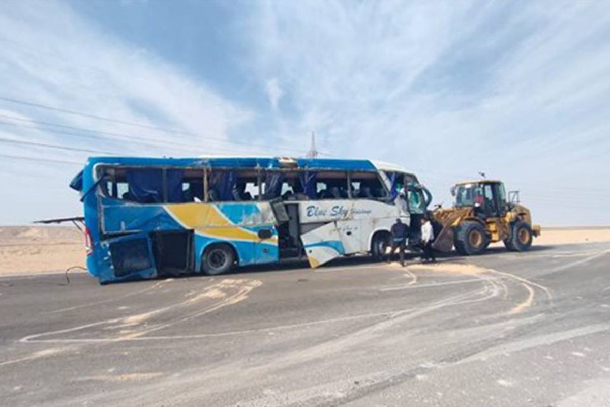 Rolnicy z Niemiec załamani. Niszczą plony. "Serce pęka"