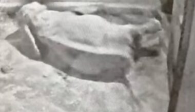 Nagle runęła na ziemię. Natychmiast ruszyli z pomocą. Sceny w Żabce