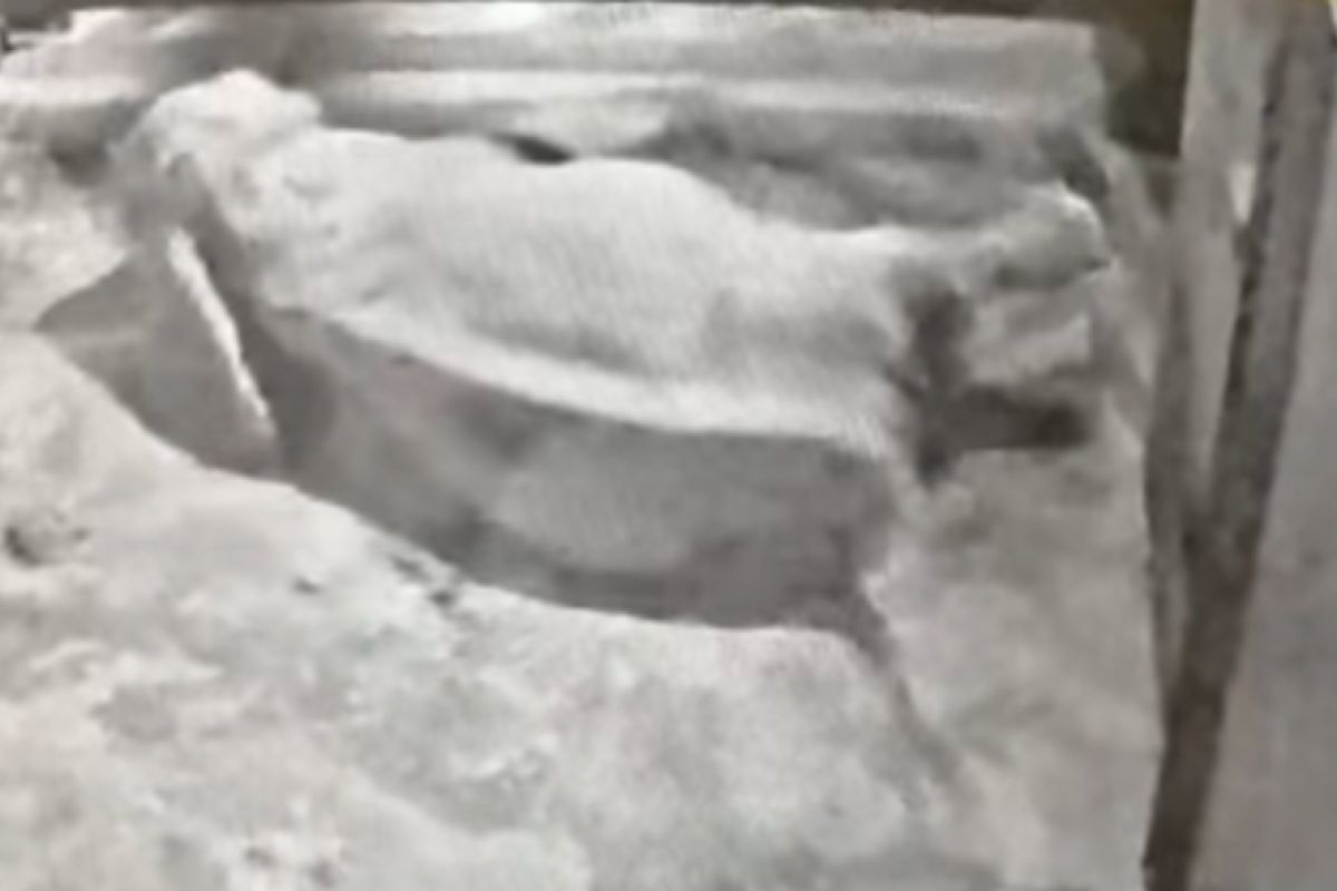 Nagle runęła na ziemię. Natychmiast ruszyli z pomocą. Sceny w Żabce