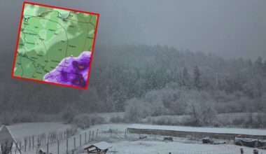 Spięcie na spotkaniu Sikorskiego. Pretensje o Brauna