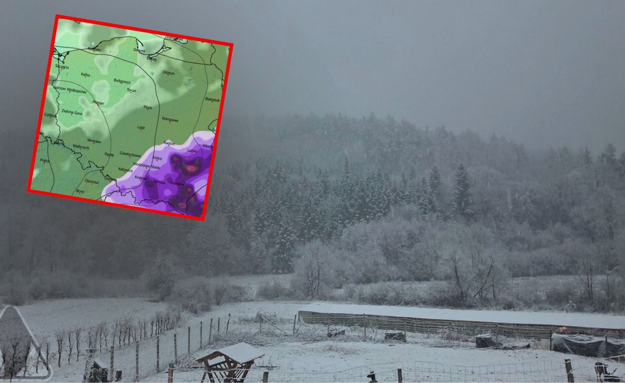 Spięcie na spotkaniu Sikorskiego. Pretensje o Brauna