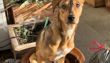 Tak mieszkają Aleksandra Kwaśniewska i Kuba Badach: jasne przestrzenie, przytulny wystrój, piękny ogród (ZDJĘCIA)