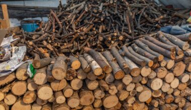 Strajk generalny w fabryce w Chrzanowie. "Ludzie mdleją przy maszynach"