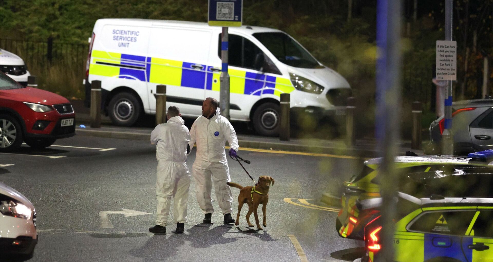 Rosyjski dowódca oskarżony. Znak "Z" wyciął na czole więźnia