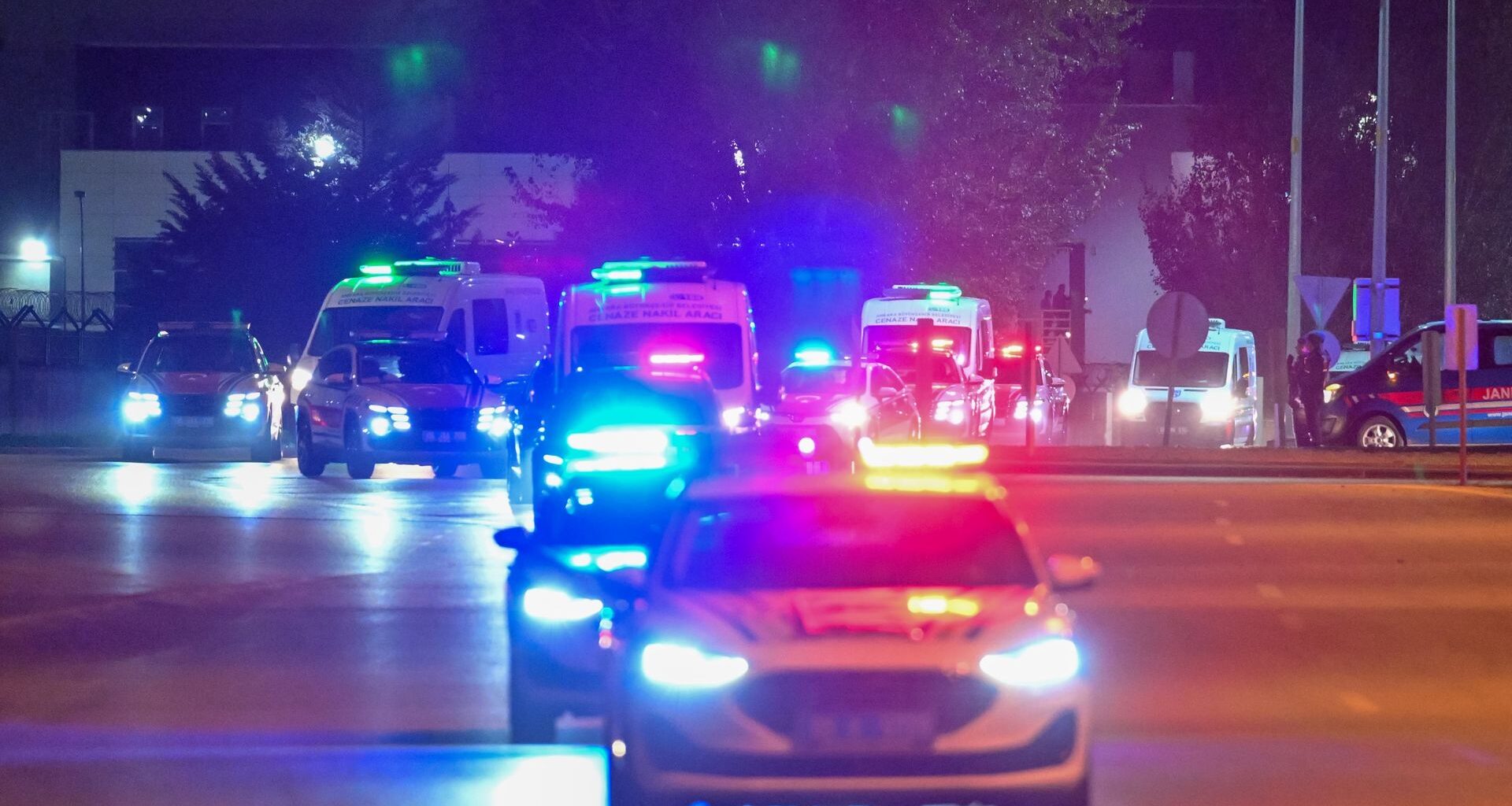 Przetrzymywał niedźwiedzia na swojej posesji. Jest zarzut dla 49-latka