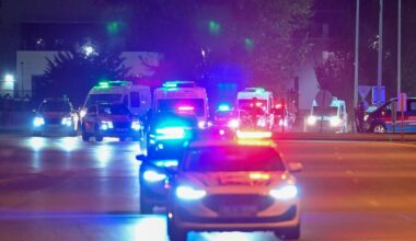 Przetrzymywał niedźwiedzia na swojej posesji. Jest zarzut dla 49-latka