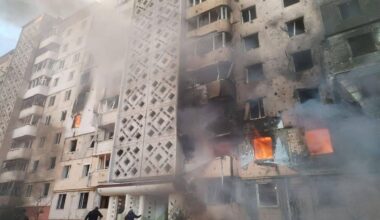 USA. Bielik amerykański przyczyną nietypowego wypadku na autostradzie