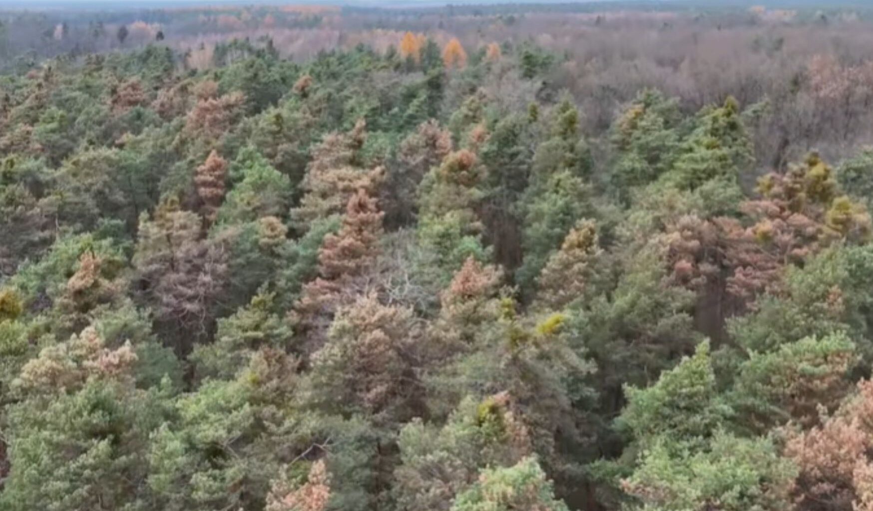 Żałoba w Tarnopolu. Ratownicy zakończyli poszukiwania ofiar
