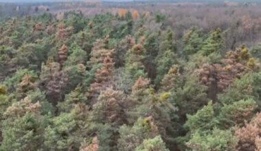 Żałoba w Tarnopolu. Ratownicy zakończyli poszukiwania ofiar