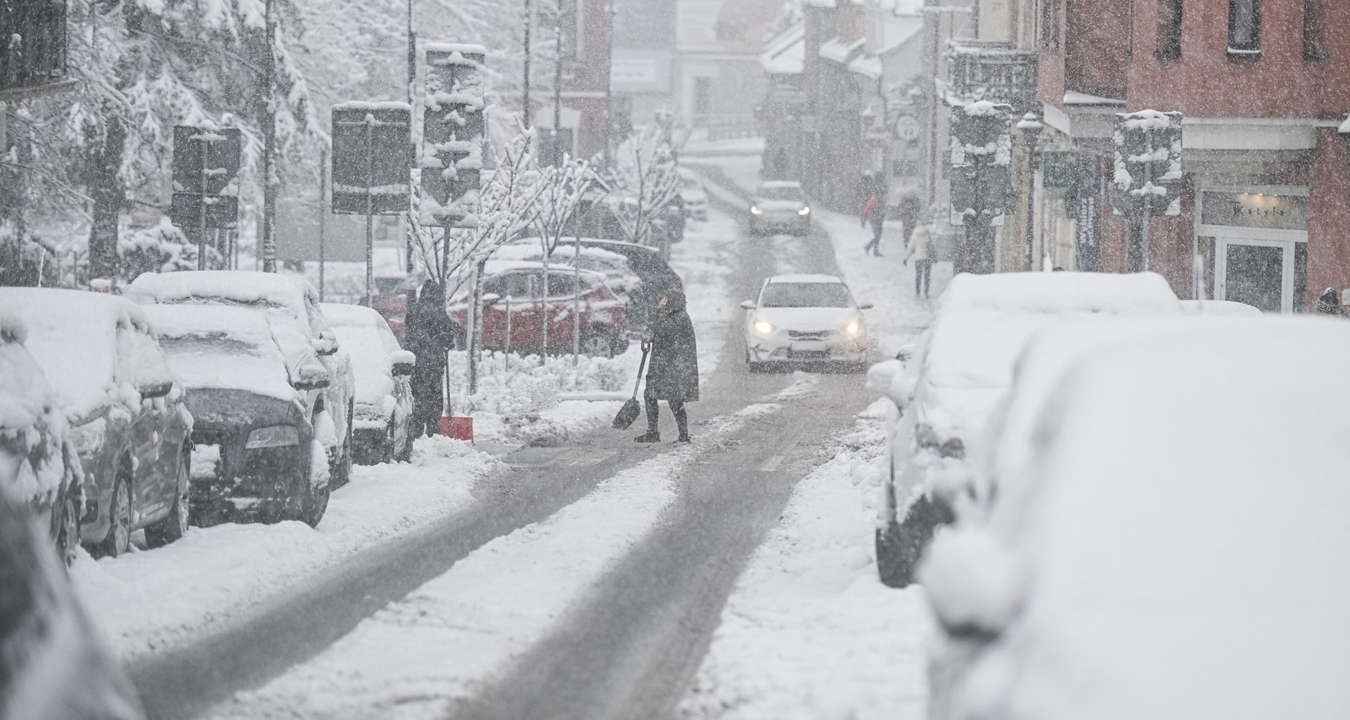 Pandy i "fałszywy kciuk". Naukowcy zaobserwowali niezwykłe zachowanie