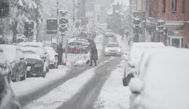 Pandy i "fałszywy kciuk". Naukowcy zaobserwowali niezwykłe zachowanie
