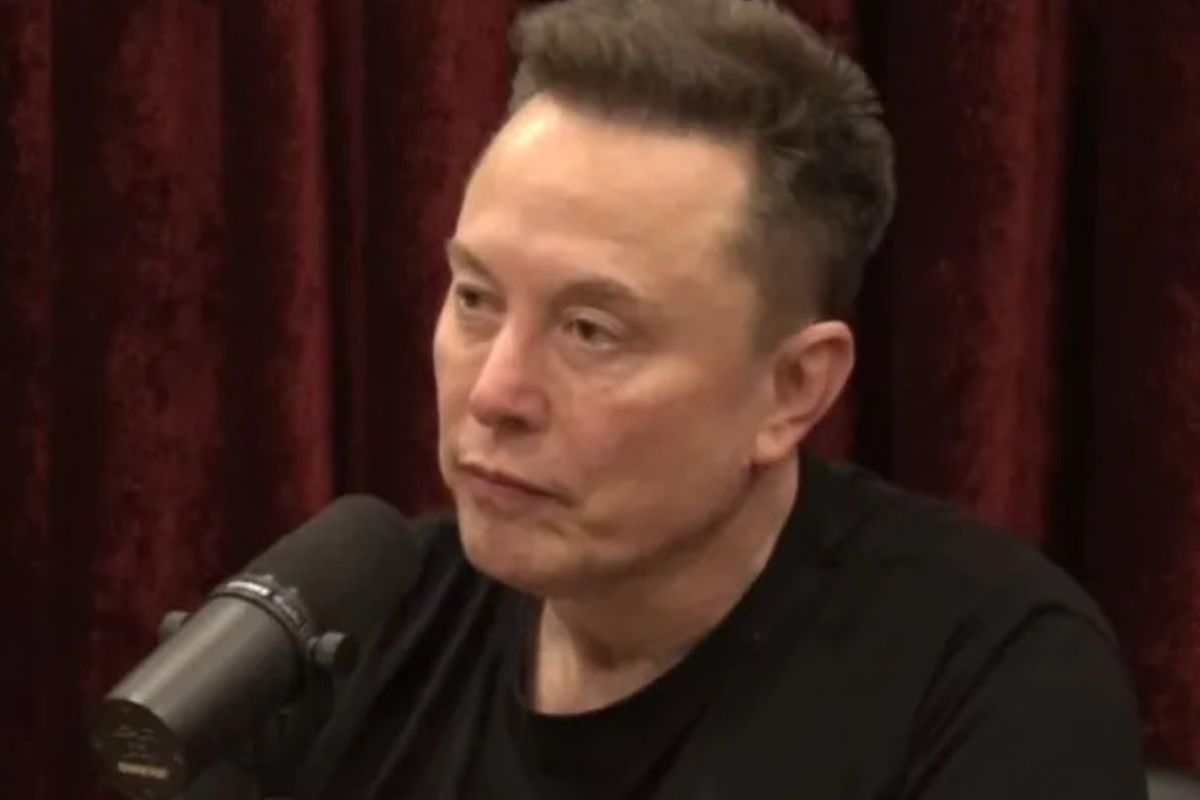 Jacek Kawalec kwestował z nową partnerką. Tak razem wyglądają