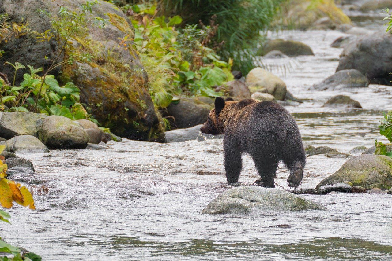 Łódź z flagą Wagnera na rzece Narwa. Ekspert wyjaśnia cel Rosji