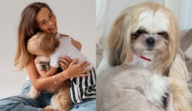 Katarzyna Zillmann i Janja Lesar ZACHWYCIŁY widzów i jurorów w półfinale "Tańca z Gwiazdami". "ABSOLUTNA MAGIA"