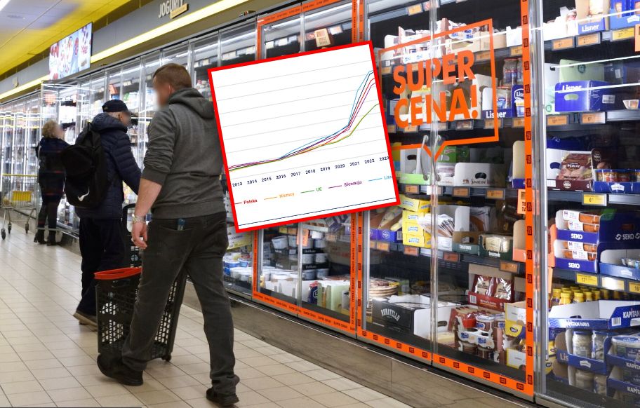 Polska to jeden wielki dyskont. Zakupy są tańsze niż w sąsiednich krajach [ANALIZA]