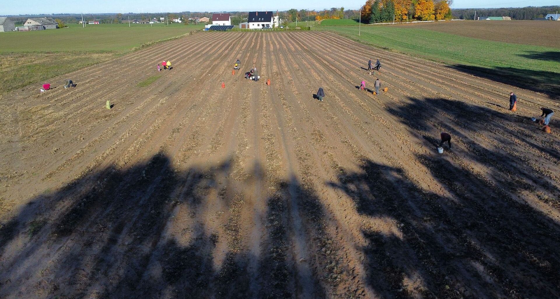 Zrób zamiast pizzy. Smak jest obłędny
