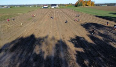 Zrób zamiast pizzy. Smak jest obłędny