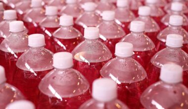 Suszone rybki – naturalne źródło białka, wapnia i kwasów omega-3 w wygodnej wersji