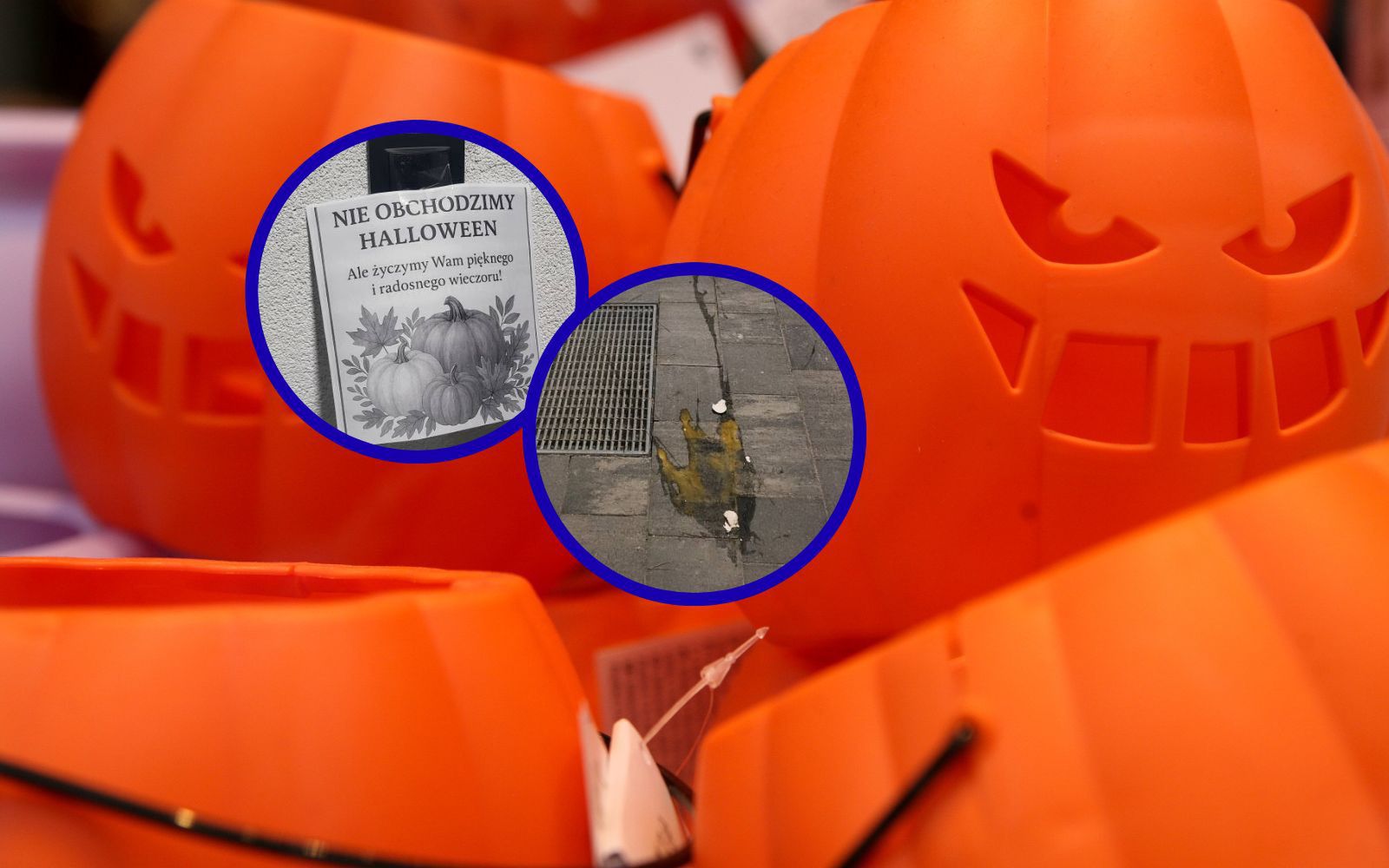 Tak Czesi chowają swoich bliskich. „Lasy Wspomnień” rosną w całym kraju