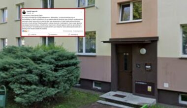 Wyniki Lotto 01.11.2025 – losowania Lotto, Lotto Plus, Multi Multi, Ekstra Pensja, Ekstra Premia, Mini Lotto, Kaskada