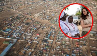 Co za pojedynek. Leśnicy pokazali nagranie z Puszczy Noteckiej