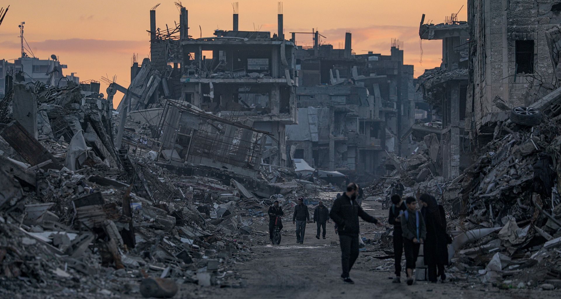 Co za pojedynek. Leśnicy pokazali nagranie z Puszczy Noteckiej