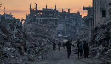 Co za pojedynek. Leśnicy pokazali nagranie z Puszczy Noteckiej