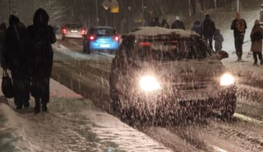 Sytuacja jak z filmu na drodze. Konie na jezdni