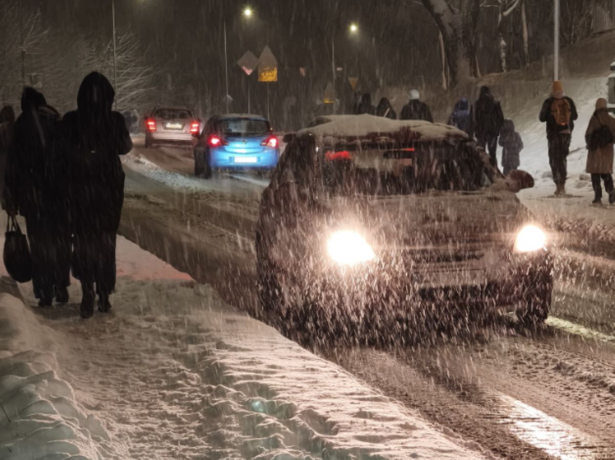 Sytuacja jak z filmu na drodze. Konie na jezdni