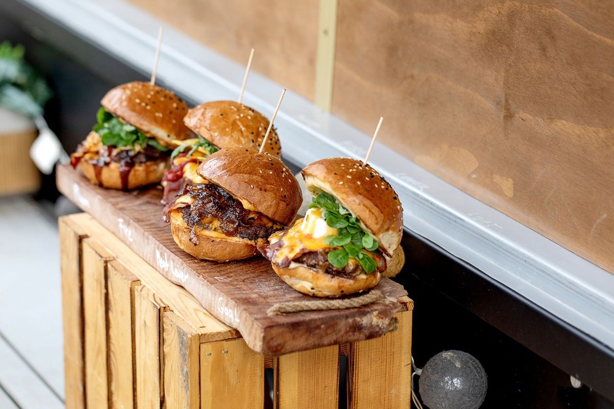 Zaskakująca zdolność trzmieli. Opanowały kod Morse'a