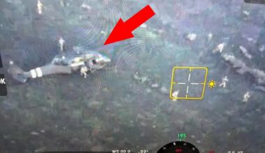 Wyjątkowy gen. Te zwierzęta przetrwają niemal wszystko