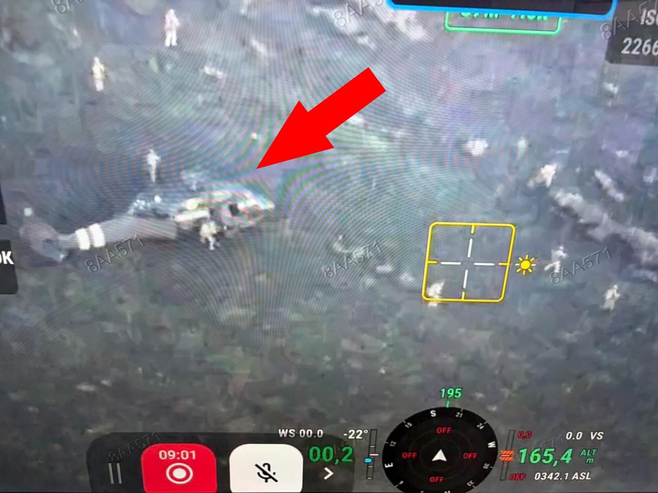 Wyjątkowy gen. Te zwierzęta przetrwają niemal wszystko