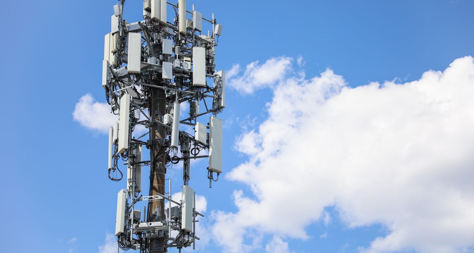 Zarząd VW bez rocznych premii? W tle drastyczny spadek zysków