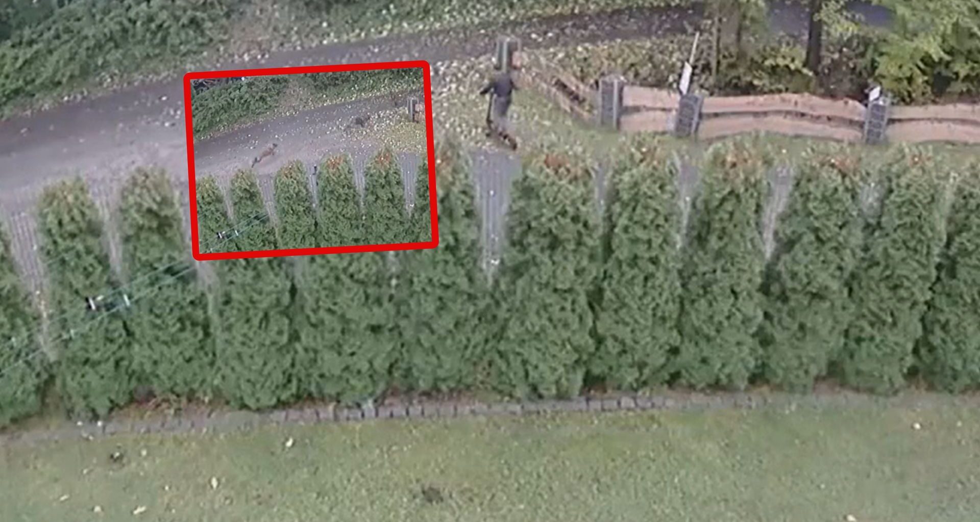 Szok w Portugalii. Kobieta przez 36 lat udawała nauczycielkę