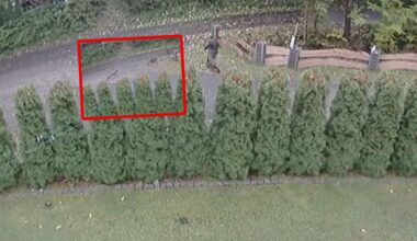 Szok w Portugalii. Kobieta przez 36 lat udawała nauczycielkę