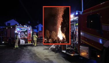 Kradzież z włamaniem. Policja zatrzymała Gruzina i Ukraińca