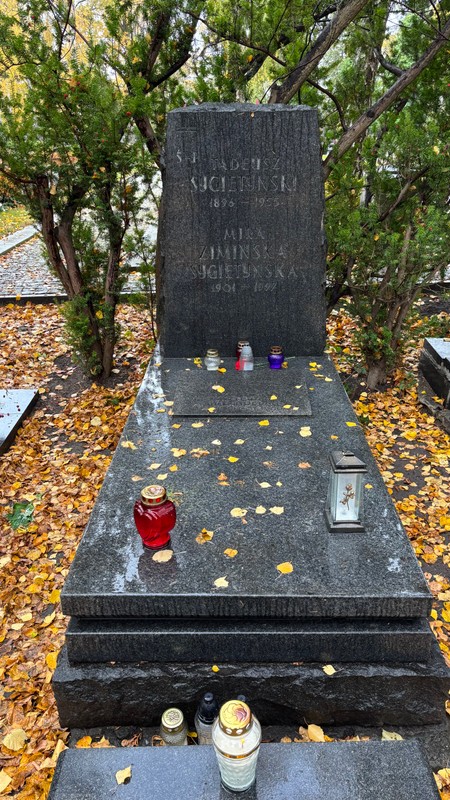 Tadeusz Sygietyński i Mira Zimińska