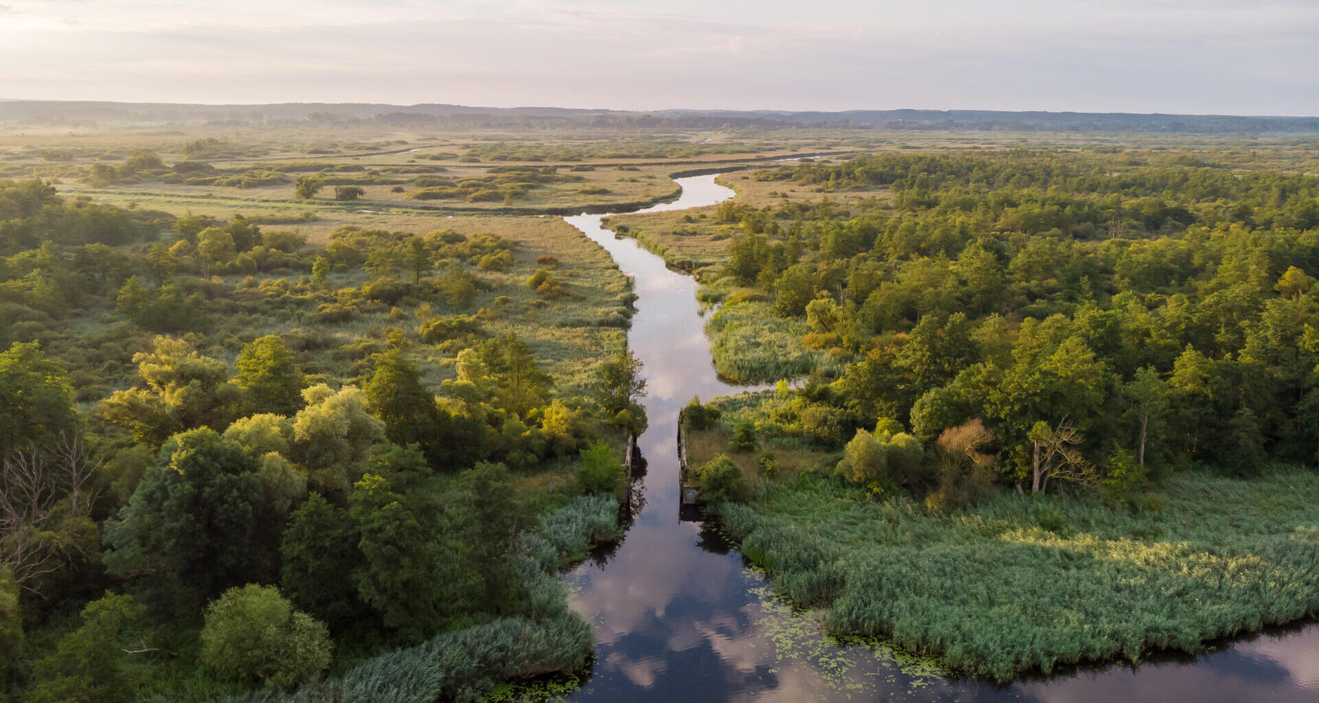 Parku Narodowego Doliny Dolnej Odry nie będzie. Prezydent "oparł decyzję na nieprawdziwych informacjach"